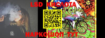крисы Новозыбков