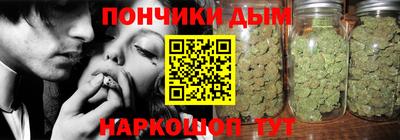 крисы Новозыбков
