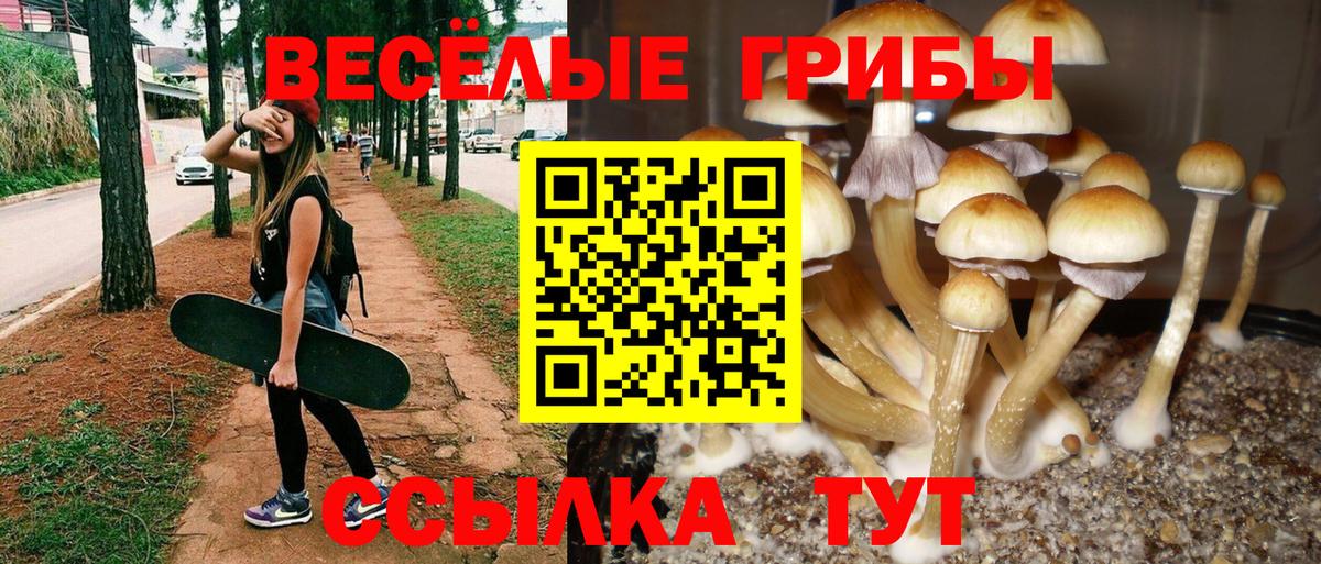 Псилоцибиновые грибы MAGIC MUSHROOMS Ульяновск