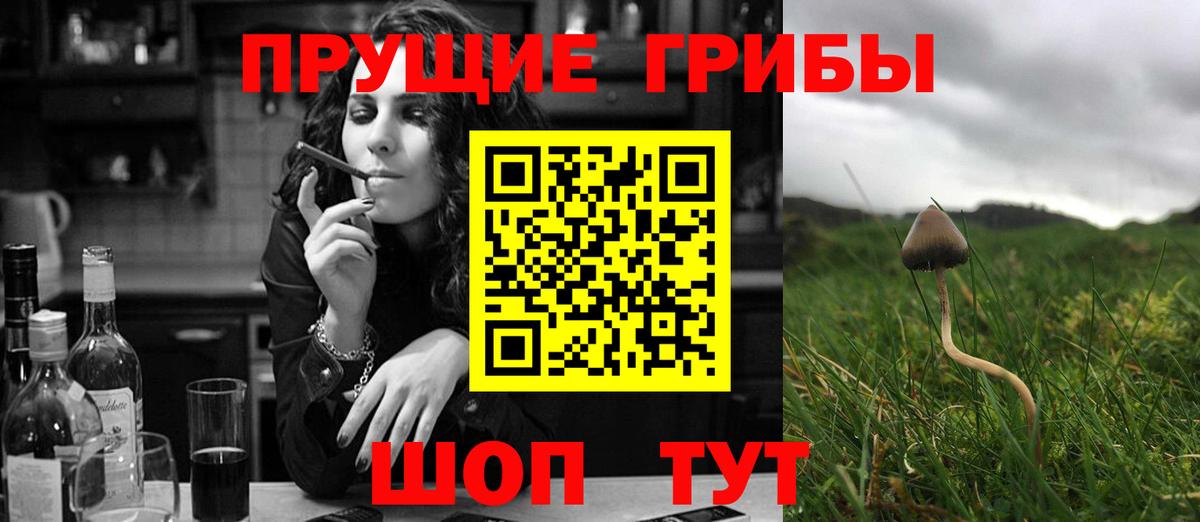 Галлюциногенные грибы мухоморы  Вход с VPN  Ульяновск  Псилоцибиновые грибы MAGIC MUSHROOMS 